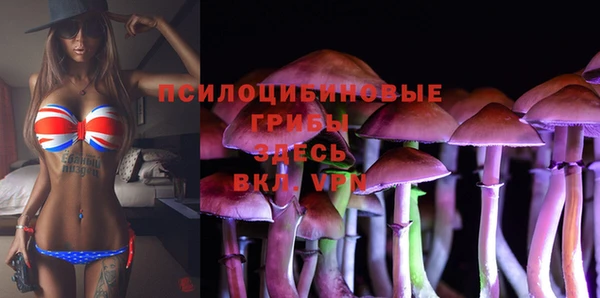 герыч Аркадак